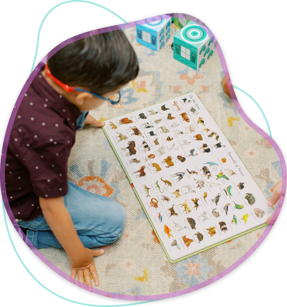 Child reading dinosaur book